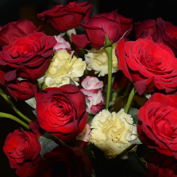 Meet your Posher, Joy - Picture 1 of 1